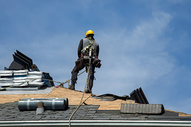 Professional Roof Repair technician working in Rapid City, MI